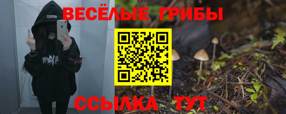 Нарткала  Галлюциногенные грибы мицелий  Галлюциногенные грибы мухоморы  Вход с VPN 
